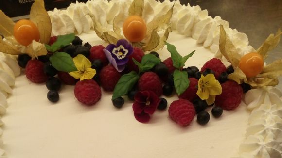 Kitulantie 11, 25410 Suomusjärvi