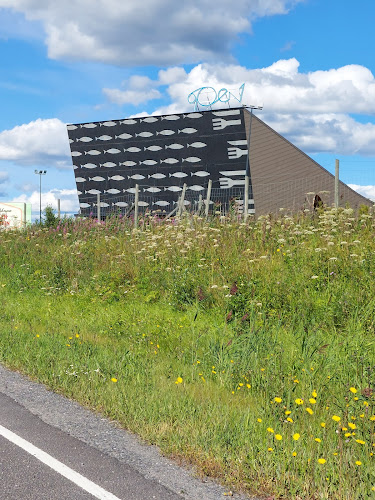 Comentarii opinii despre Vihiluodon Kala Oy