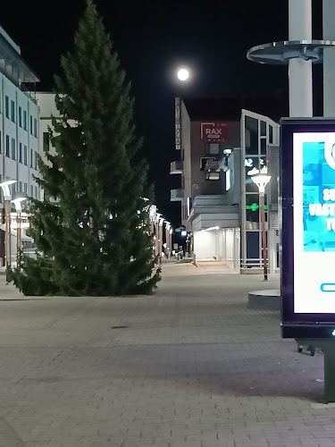 Rovaniemen Oluthuone - Rovaniemi