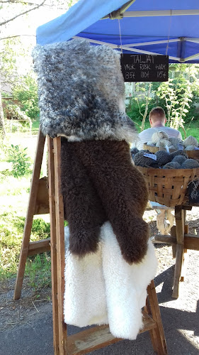 Sattumankauppa - Ravintola-ala