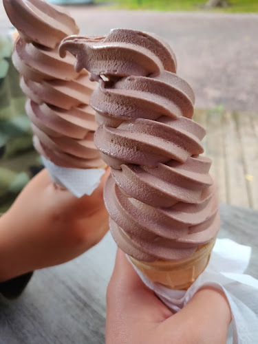 Kupittaanpuiston Pingviini-jäätelökioski - Ravintola-ala