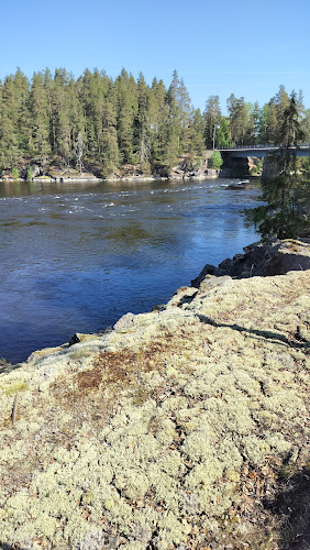 Kahvila Susikoski - Ravintola-ala