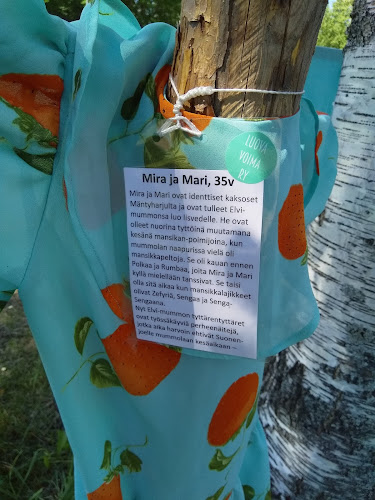 Iisvedentie 3, 77600 Suonenjoki