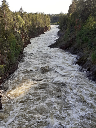 Seven Grilli - Ravintola-ala