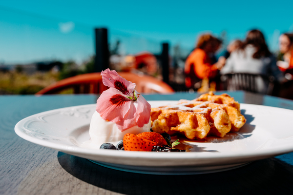 Saariravintola Hangon Portti - Ravintola-ala