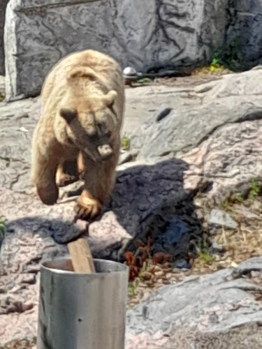 Mustikkamaanpolku 12, 00570 Helsinki