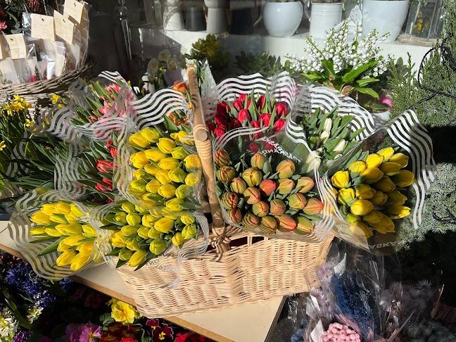 Opinii despre Laakson Karkki K&G ( kioski jäätelä kahvi ) în Helsinki - Ravintola-ala