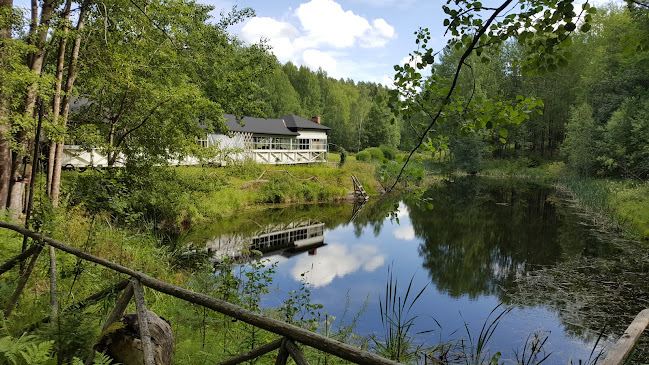 Olavi Mattsson - Ravintola-ala