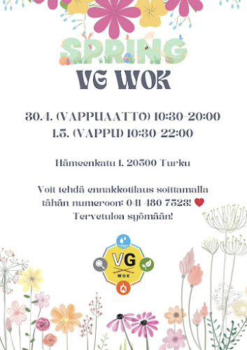 Comentarii opinii despre VG Wok Hämeenkatu