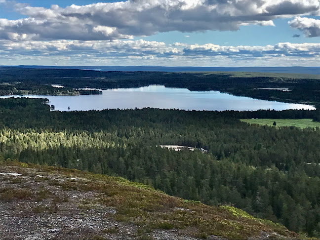 Pizzeria Ruka - Ravintola-ala