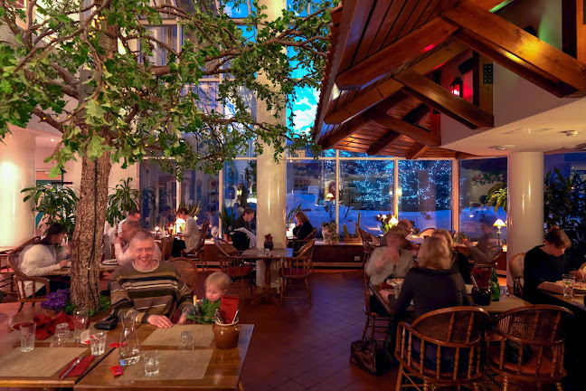 Ravintola TK's - Tammikellari