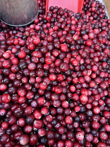 Mannerheimintie 87 LH 1, 00270 Helsinki