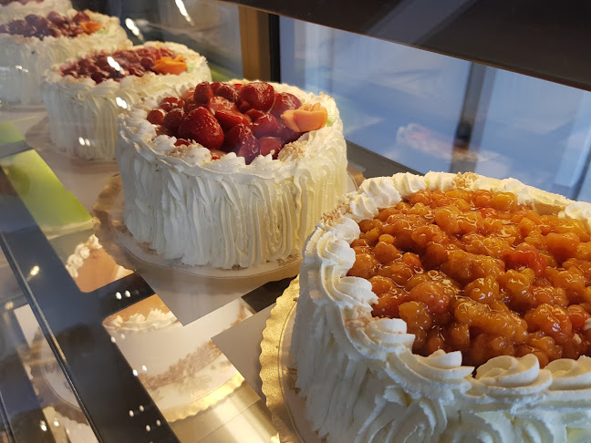 Rovakatu 13, 96100 Rovaniemi