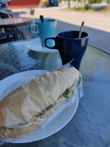 Comentarii opinii despre Paakari Puusti