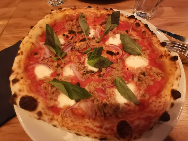 Comentarii opinii despre Don Franco