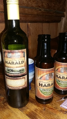 Viikinkiravintola Harald - Turku