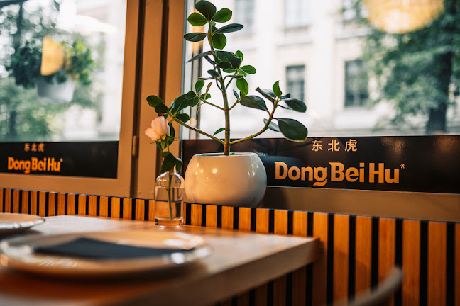 Comentarii opinii despre Dong Bei Hu