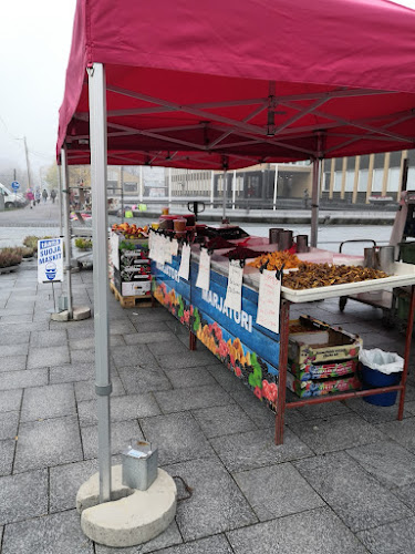 Tikkurilantori, Tikkurilan uusi tori