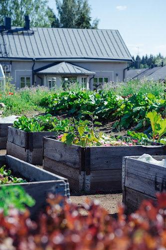 Comentarii opinii despre Tertin Kartano