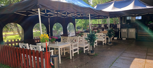 Piippu Terassikahvila, Vihavuosi