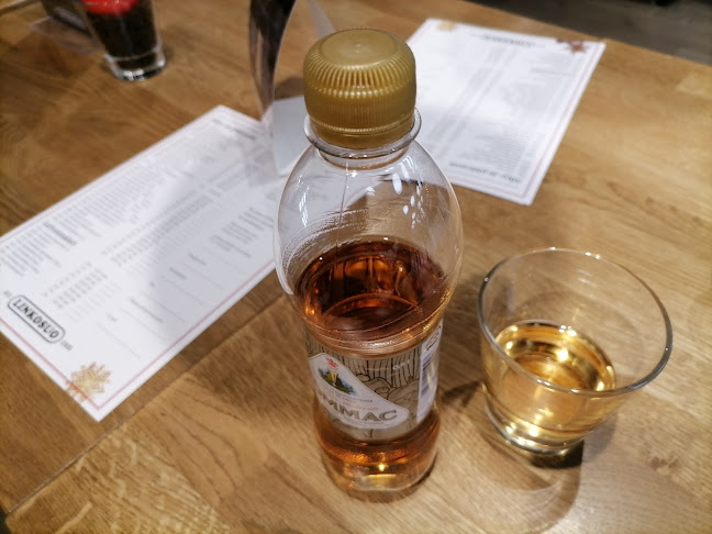 Comentarii opinii despre Linkosuo Kahvila