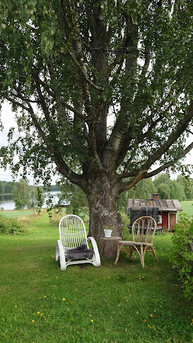 Opinii despre Maalaiskahvila Farmi în Mänttä-Vilppula - Ravintola-ala