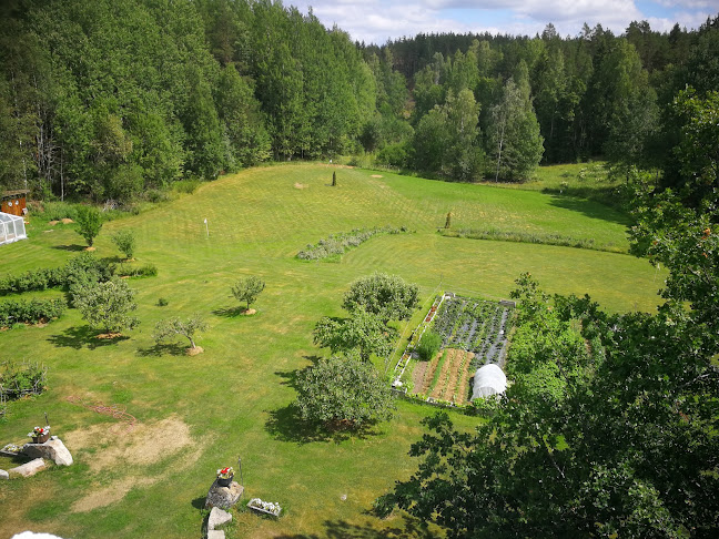 Comments and reviews of Olavi Mattsson