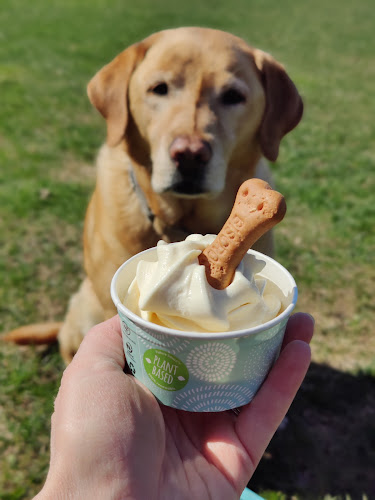 Järvenpään Rantapuiston jäätelökioski - Järvenpää