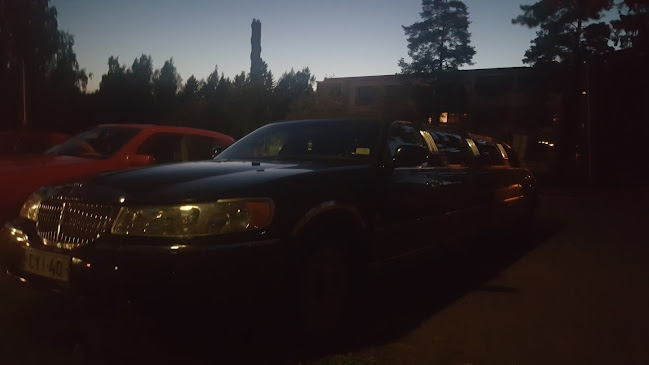 Ravintola Kayatepe - Ravintola-ala