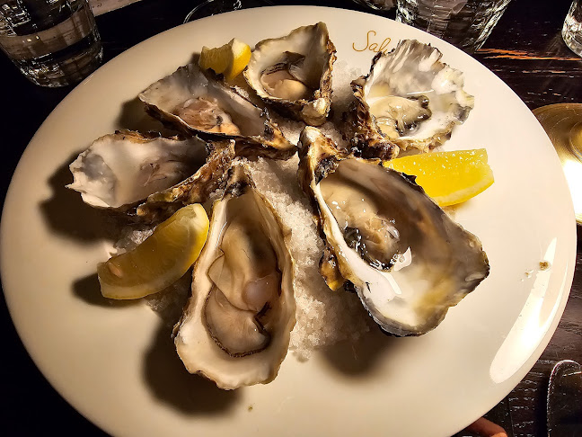 Ravintola Salutorget - Ravintola-ala