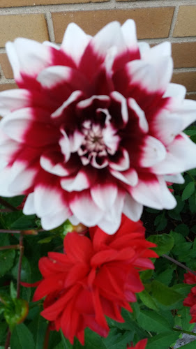 Opinii despre Astiavuokraus Turku - Turunmaan Catering Palvelu Oy în Raisio - Ravintola-ala