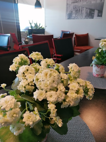 Comentarii opinii despre Jaskan Kahvila