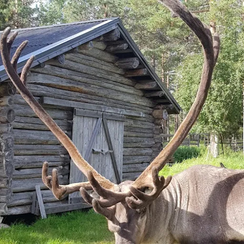 Kuusamon Porokeisari Oy - Ravintola-ala