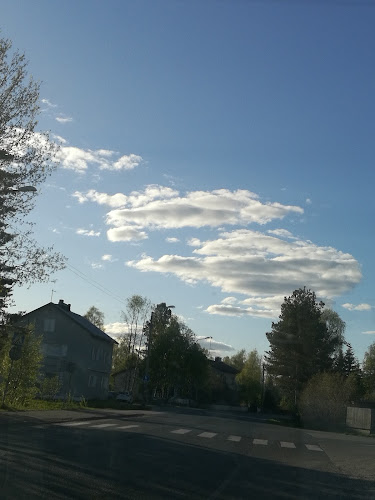 Karihaaran Pizzeria Captain - Ravintola-ala