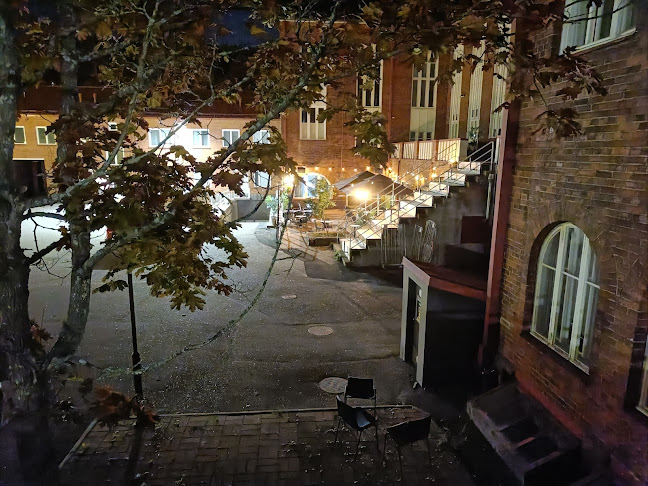 Easy Peasy Kotka - Kotka