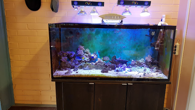 Inter Pizza - Ravintola-ala