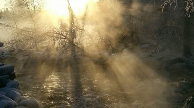 Vanha Mylly - Ravintola-ala