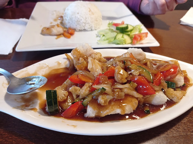 Comentarii opinii despre Ocean Dragon