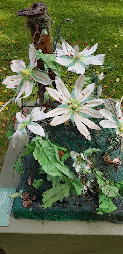 Opinii despre Lasimuseon ravintola în Riihimäki - Ravintola-ala