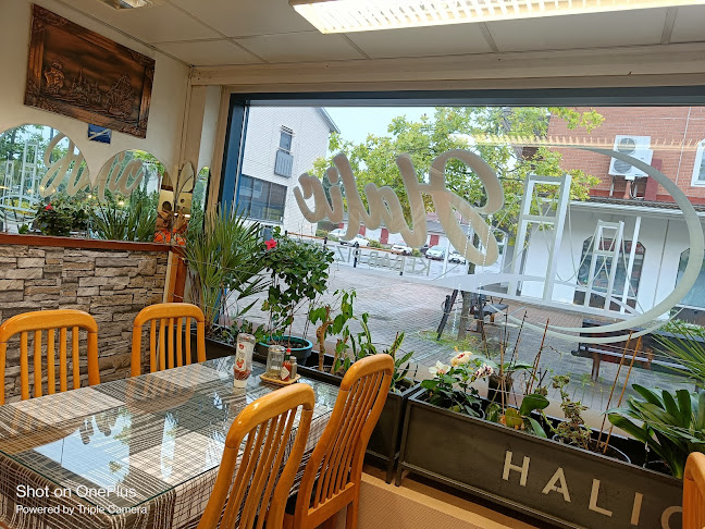 Pizzeria Halic - Ravintola-ala