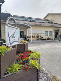 Comentarii opinii despre Sarahovi