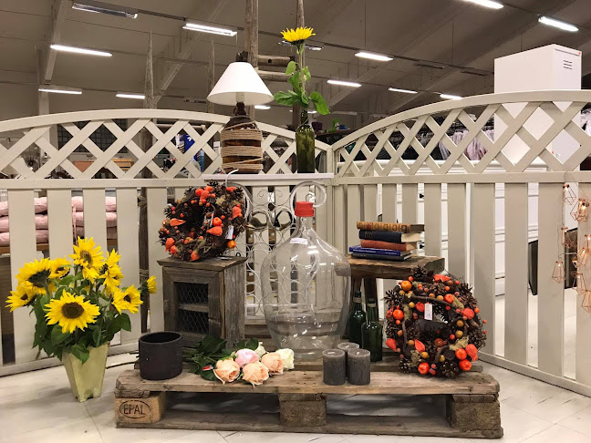 Loviisan Suurkirppis - Loviisa