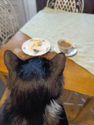 Mattilan Tila: Antikkiliike Vaarin Varasto, Kahvila Into - Ravintola-ala