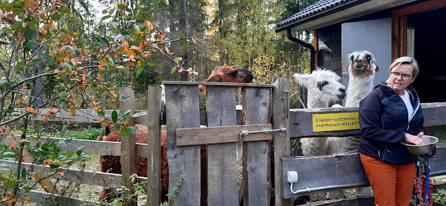 Opinii despre Pitopalvelua Buen Gusto în Nokia - Ravintola-ala