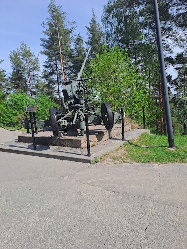 Comentarii opinii despre Café & Restaurant Vesilinna