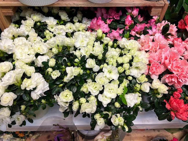 Mannerheimintie 87 LH 1, 00270 Helsinki