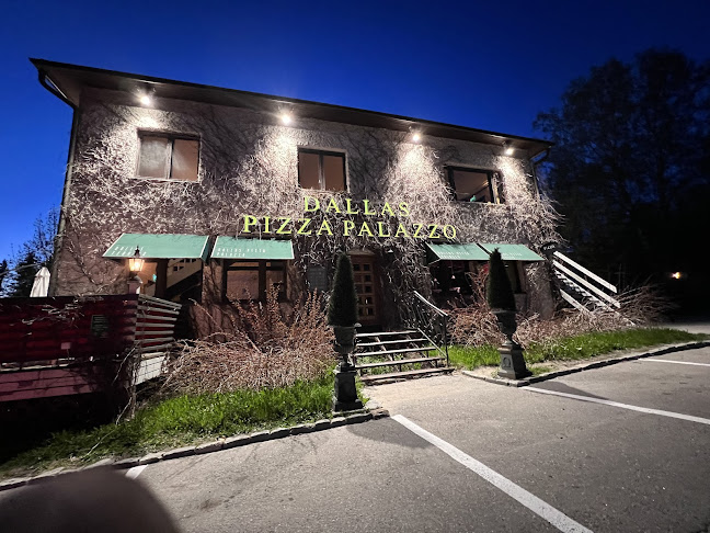 Comments and reviews of Dallas Pizza Palazzo