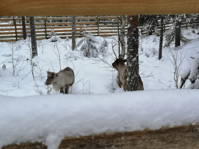 Pytky Ranch Services/Wow Factory Oy - Ravintola-ala