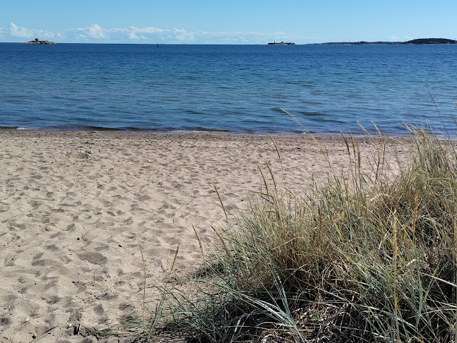 Cafe Oasis - Ravintola-ala