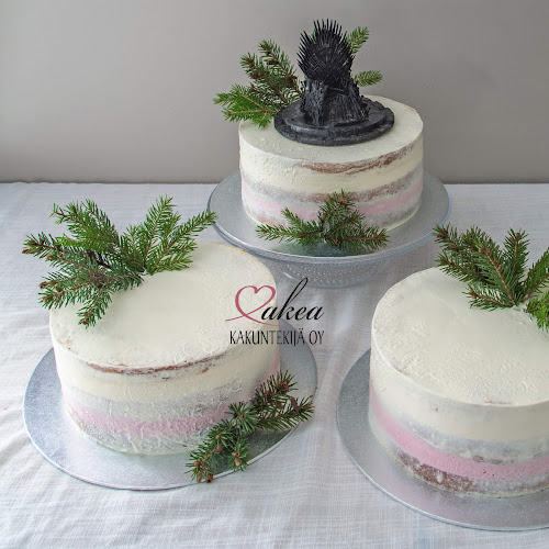 Makea kakuntekijä Oy